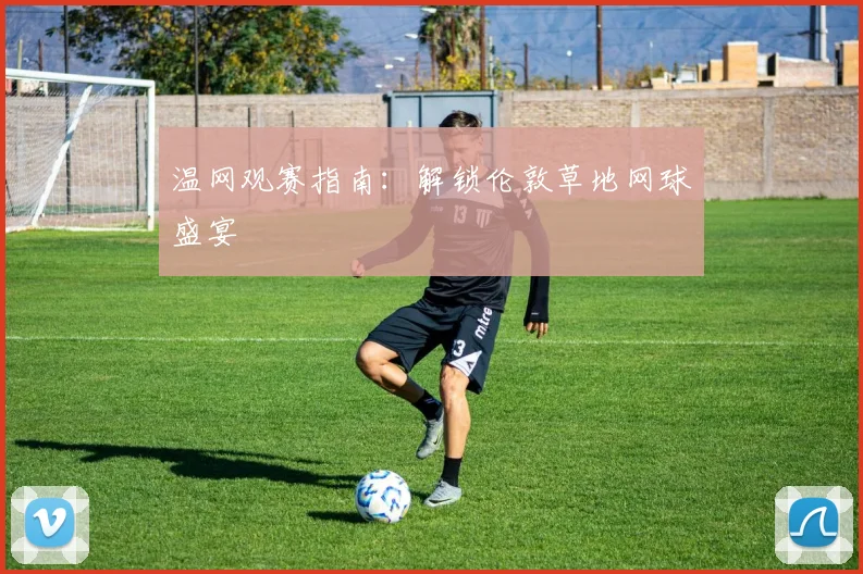 温网观赛指南:解锁伦敦草地网球盛宴